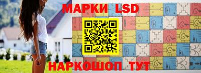 прущие грибы Будённовск