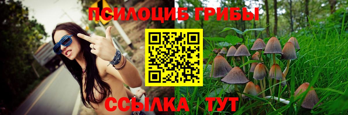Орёл  Псилоцибиновые грибы Magic Shrooms  Вход с VPN 